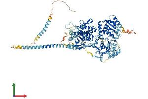 AlphaFold protein structure predicition of Human Recombinant EXTL3 Protein, UniprotID O43909
