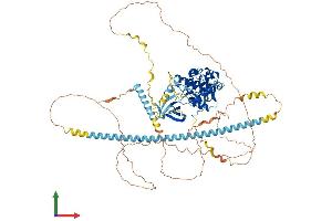 AlphaFold protein structure predicition of Mouse Recombinant Cdk11b Protein, UniprotID P24788