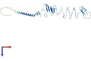 AlphaFold protein structure predicition of Human Recombinant SGCZ Protein, UniprotID Q96LD1