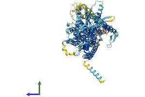 AlphaFold protein structure predicition of Human Recombinant ANO5 Protein, UniprotID Q75V66