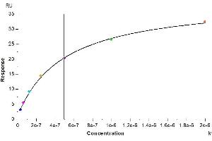 Mouse IL-5 R alpha, His Tag immobilized on CM5 Chip can bind Mouse IL-5, His Tag with an affinity constant of 0.