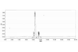Chymotrypsin-Like Elastase Family, Member 1 (CELA1) peptide (Ovalbumin)