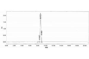 Engrailed Homeobox 2 (EN2) peptide (Ovalbumin)