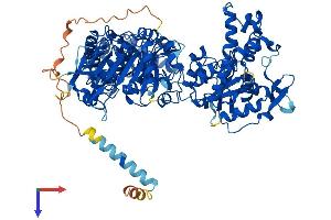 AlphaFold protein structure predicition of Human Recombinant NDST1 Protein, UniprotID P52848