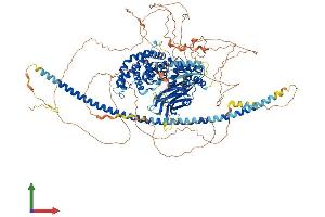 AlphaFold protein structure predicition of Mouse Recombinant Dab2ip Protein, UniprotID Q3UHC7