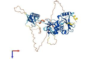 AlphaFold protein structure predicition of Human Recombinant TSEN2 Protein, UniprotID Q8NCE0