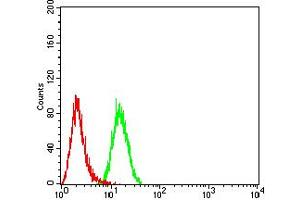 Flow cytometric analysis of Hela cells using APAF1 mouse mAb (green) and negative control (red). (APAF1 anticorps  (AA 1138-1237))
