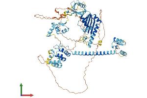 AlphaFold protein structure predicition of Mouse Recombinant Ankzf1 Protein, UniprotID Q80UU1