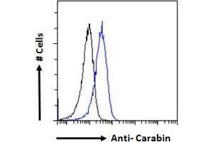 ABIN190840 Flow cytometric analysis of paraformaldehyde fixed Jurkat cells (blue line), permeabilized with 0.