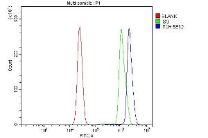 Flow Cytometry analysis of U937 cells using anti-ITCH/AIP4 antibody (ABIN7600263). (ITCH anticorps  (AA 17-358))
