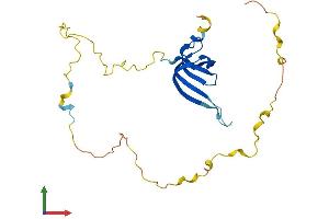 AlphaFold protein structure predicition of Mouse Recombinant Snrpb Protein, UniprotID P27048