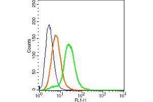 293T cells probed with MC4 Receptor Polyclonal Antibody, ALEXA FLUOR® 488 Conjugated (bs-11417R-A488) at 1:100 for 30 minutes compared to control cells (blue) and isotype control (orange).