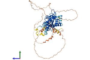 AlphaFold protein structure predicition of Human Recombinant EXD1 Protein, UniprotID Q8NHP7