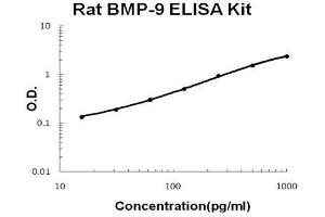 Rat BMP-9 PicoKine ELISA Kit standard curve