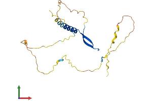 AlphaFold protein structure predicition of Mouse Recombinant Bcl7b Protein, UniprotID Q921K9