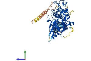 AlphaFold protein structure predicition of Human Recombinant TINAG Protein, UniprotID Q9UJW2