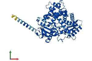 AlphaFold protein structure predicition of Mouse Recombinant Cyp2r1 Protein, UniprotID Q6VVW9