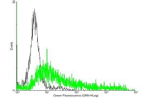 FACS analysis of negative control 293 cells (Black) and MPL expressing 293 cells (Green) using MPL purified MaxPab mouse polyclonal antibody.