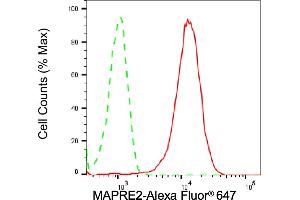 anti-Microtubule-Associated Protein, RP/EB Family, Member 2 (MAPRE2) antibody
