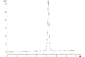 The purity of Rhesus macaque CD155/PVR is greater than 95 % as determined by SEC-HPLC. (Poliovirus Receptor Protein (PVR) (AA 28-343) (His tag))