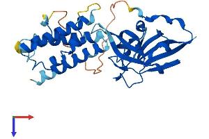 AlphaFold protein structure predicition of Human Recombinant AIDA Protein, UniprotID Q96BJ3