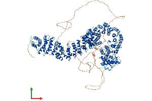 AlphaFold protein structure predicition of Human Recombinant PDS5B Protein, UniprotID Q9NTI5