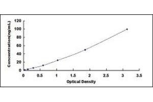 Typical standard curve (Septin 8 Kit ELISA)