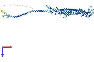 AlphaFold protein structure predicition of Mouse Recombinant Cog6 Protein, UniprotID Q8R3I3
