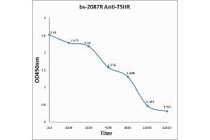Antigen: 0. (TSH receptor anticorps  (AA 201-300))