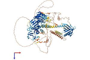 AlphaFold protein structure predicition of Human Recombinant INPP5F Protein, UniprotID Q9Y2H2