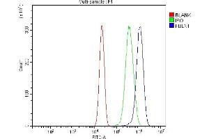 Flow Cytometry analysis of U20S cells using anti-Fibulin 1/FBLN1 antibody (ABIN7601231). (Fibulin 1 anticorps  (AA 30-703))