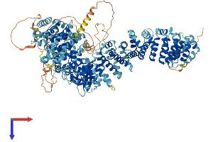 AlphaFold protein structure predicition of Mouse Recombinant Stk36 Protein, UniprotID Q69ZM6