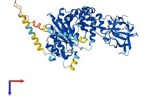 AlphaFold protein structure predicition of Human Recombinant GALNT9 Protein, UniprotID Q9HCQ5