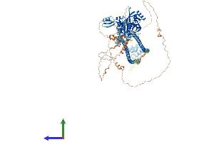 AlphaFold protein structure predicition of Mouse Recombinant Card11 Protein, UniprotID Q8CIS0