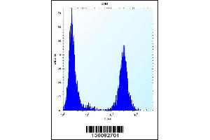 Flow cytometric analysis of U251 cells (right histogram) compared to a negative control cell (left histogram).