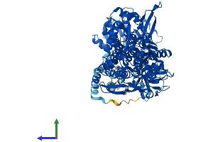 AlphaFold protein structure predicition of Mouse Recombinant Aldh1l1 Protein, UniprotID Q8R0Y6