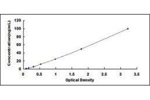 Typical standard curve (CKM Kit ELISA)