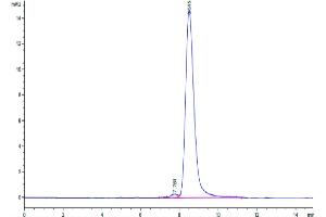 The purity of Biotinylated Human M-CSF is greater than 95 % as determined by SEC-HPLC.