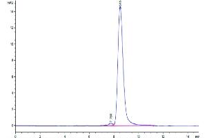 The purity of Biotinylated Human M-CSF is greater than 95 % as determined by SEC-HPLC. (M-CSF/CSF1 Protein (AA 33-190) (His-Avi Tag,Biotin))