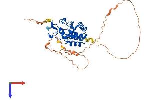 AlphaFold protein structure predicition of Mouse Recombinant Dusp11 Protein, UniprotID Q6NXK5