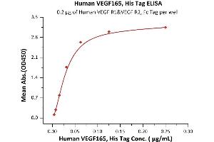 Vascular Endothelial Growth Factor (VEGF) (AA 27-191) (Active) protein (His tag)