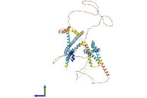 AlphaFold protein structure predicition of Mouse Recombinant Catsper1 Protein, UniprotID Q91ZR5