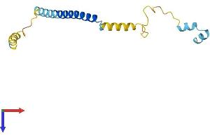 AlphaFold protein structure predicition of Mouse Recombinant Cplx1 Protein, UniprotID P63040