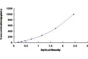 Typical standard curve (IFNA10 Kit ELISA)