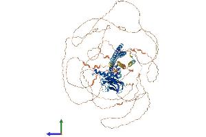 AlphaFold protein structure predicition of Human Recombinant CAPRIN2 Protein, UniprotID Q6IMN6