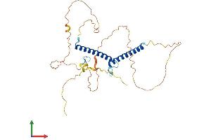 AlphaFold protein structure predicition of Mouse Recombinant Olig2 Protein, UniprotID Q9EQW6