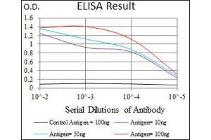 ELISA image for anti-Vav 1 Oncogene (VAV1) (AA 121-324) antibody (ABIN1845807) (VAV1 anticorps  (AA 121-324))