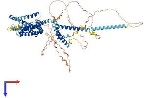 AlphaFold protein structure predicition of Human Recombinant KCNQ1 Protein, UniprotID P51787