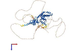 AlphaFold protein structure predicition of Human Recombinant CACNB2 Protein, UniprotID Q08289