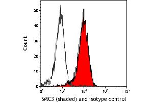 anti-Structural Maintenance of Chromosomes 3 (SMC3) (AA 1175-1217) antibody